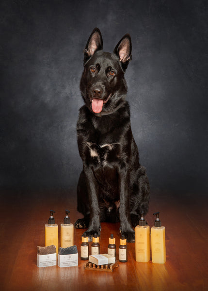 How to clean up your furbaby's act!