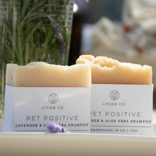 Pet Positive Lavender & Aloe Vera Shampoo